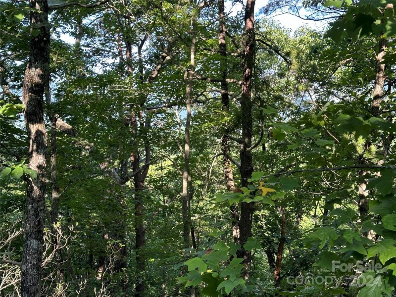 Property image 3 at 0 Buzzards Place, Lake Lure, NC 28746