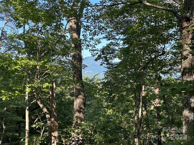 Property image 4 at 0 Buzzards Place, Lake Lure, NC 28746