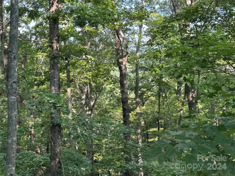 Property image 5 at 0 Buzzards Place, Lake Lure, NC 28746