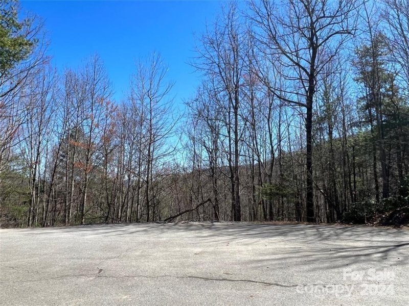 Property image 2 at 365 Feather Falls Trail, Black Mountain, NC 28711