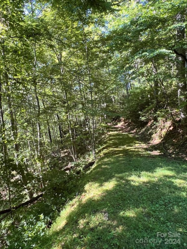 Property image 2 at 735 Whisper Mountain Drive, Leicester, NC 28748