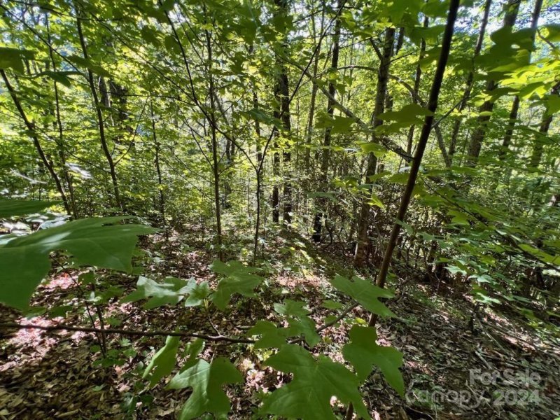 Property image 3 at 735 Whisper Mountain Drive, Leicester, NC 28748