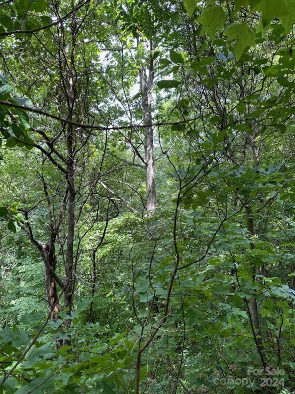 Property image 5 at 735 Whisper Mountain Drive, Leicester, NC 28748