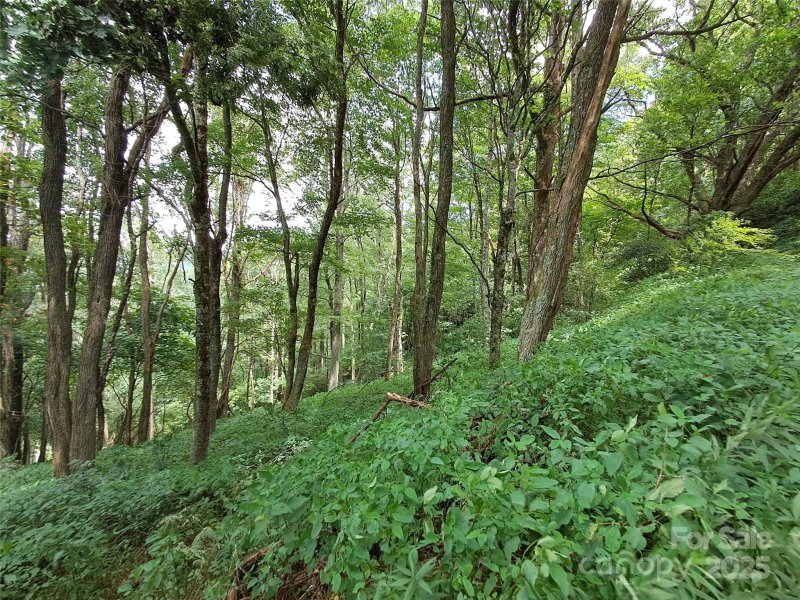 Property image 3 of 00 Hurricane Ridge Trace in Hurricane Ridge Ltd, Clyde, NC 28721