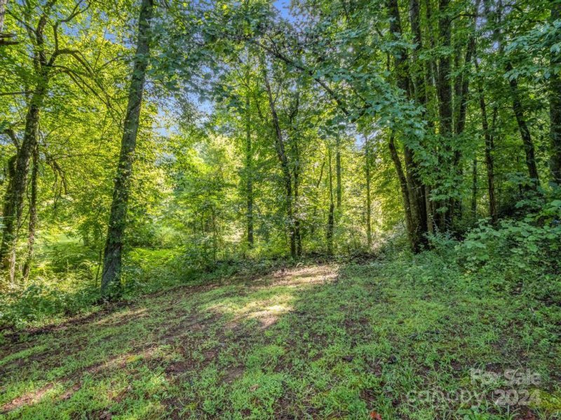 Property image 2 at 87 Solomons Cove Road, Flat Rock, NC 28731