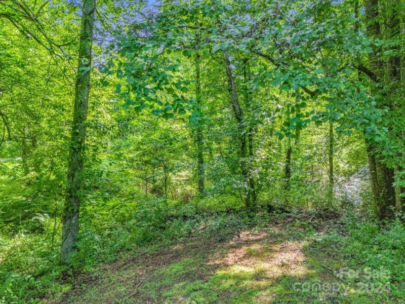 Property image 3 at 87 Solomons Cove Road, Flat Rock, NC 28731