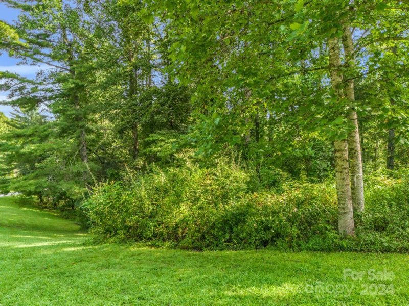 Property image 4 at 87 Solomons Cove Road, Flat Rock, NC 28731