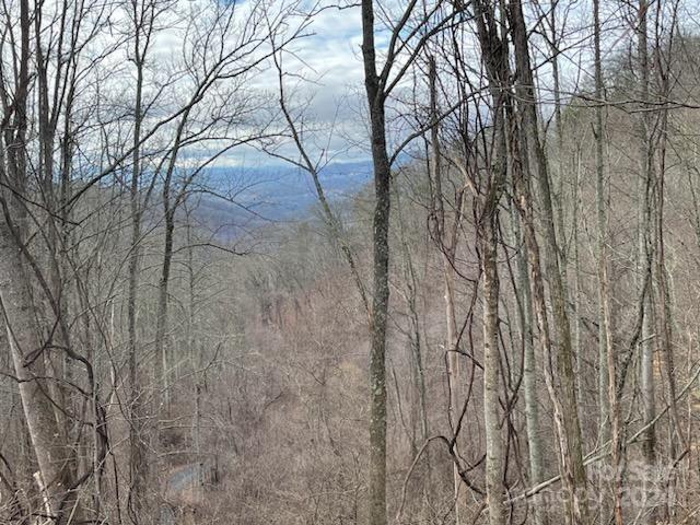 Property image 3 of 00 Seven Glens Drive in Seven Glens, Weaverville, NC 28787