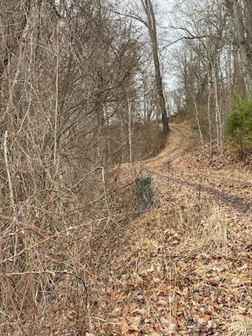 Property image 5 of 00 Seven Glens Drive in Seven Glens, Weaverville, NC 28787