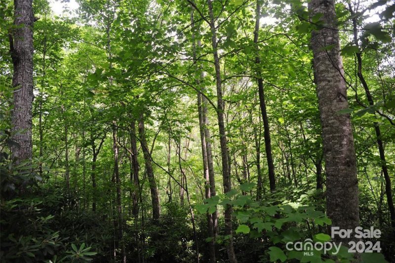 Property image 2 of 17 Wood Haven Lane in Laurel Ridge, Black Mountain, NC 28711