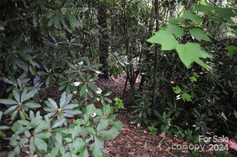 Property image 4 of 17 Wood Haven Lane in Laurel Ridge, Black Mountain, NC 28711