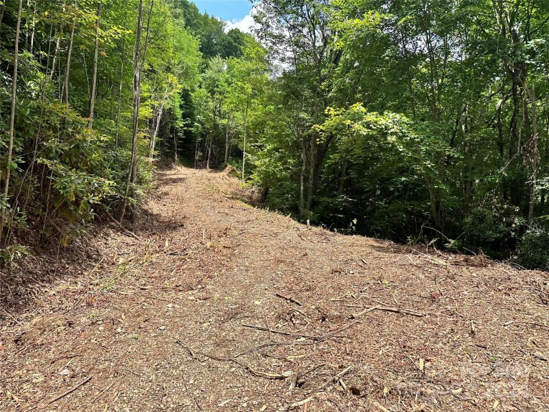 Property image 4 at 0000 Winding Creek Drive, Waynesville, NC 28786