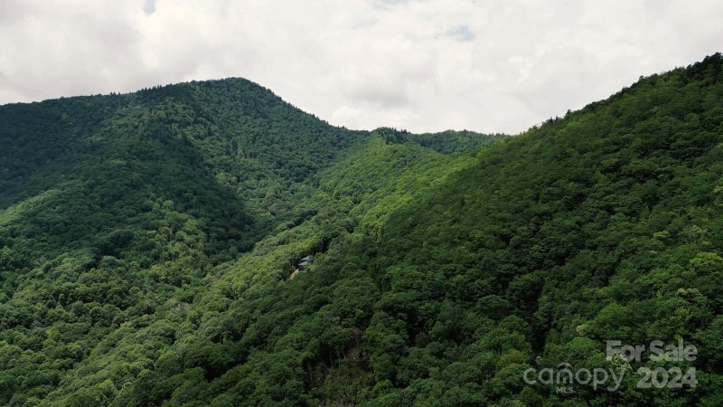 Property image 5 at 0000 Winding Creek Drive, Waynesville, NC 28786