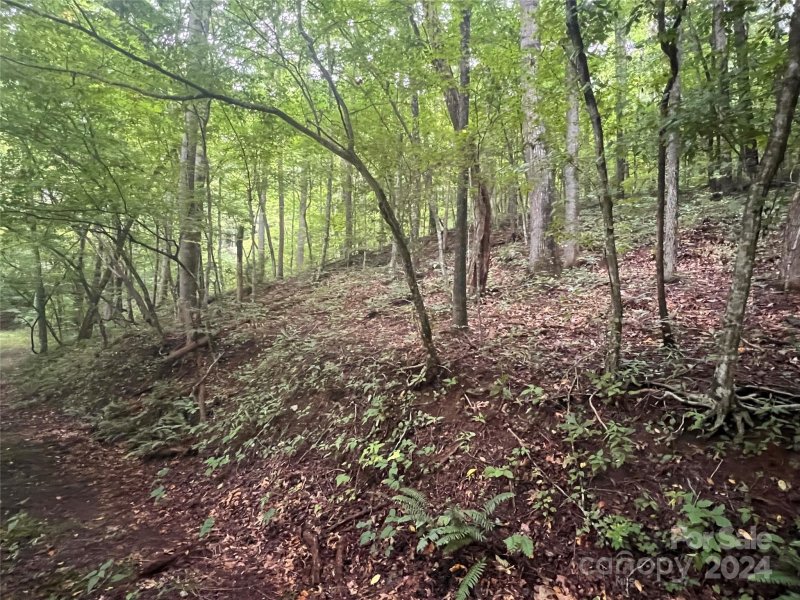 Property image 3 at 0 Country Club Drive, Canton, NC 28716