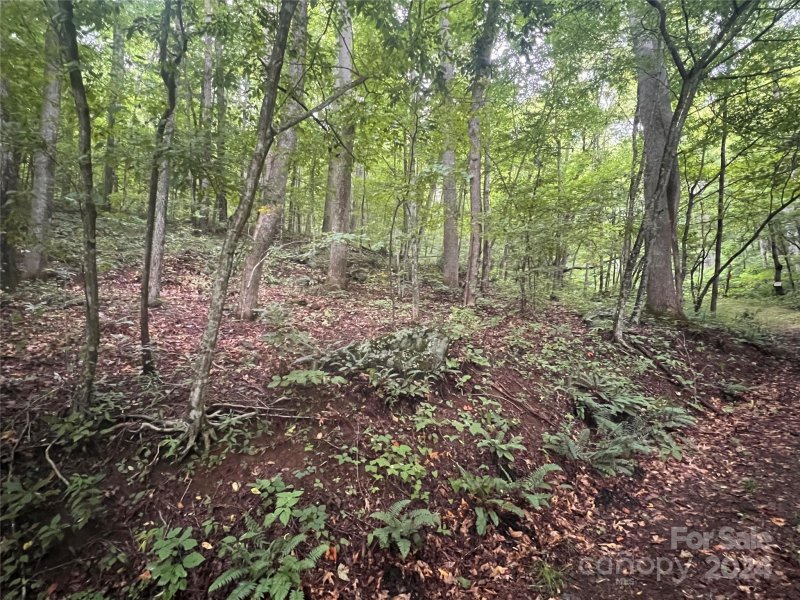 Property image 4 at 0 Country Club Drive, Canton, NC 28716