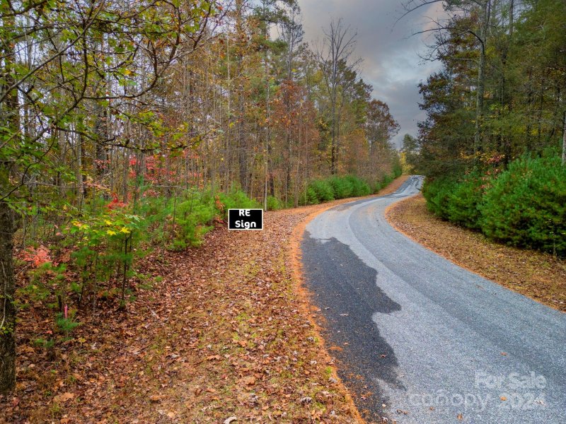 Property image 4 of 139 Larkhaven Drive in The Arbor at Lake James, Nebo, NC 28761