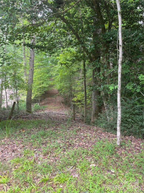 Property image 2 at 283 Dockside Drive, Nebo, NC 28761