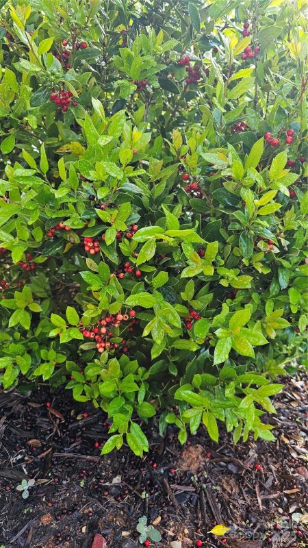 Property image 5 at 11521 Allen A Brown Road, Charlotte, NC 28269