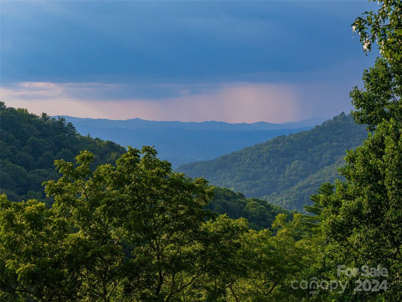 Property image 3 at 8 Timberwolf Court, Asheville, NC 28804