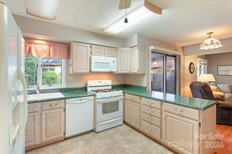 Property image 2 at 203 Willow Oak Lane, Hendersonville, NC 28791