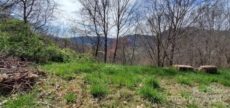 Property image 2 of 9999 Sunset Falls Drive in Sunset Falls at Bald Creek, Clyde, NC 28716