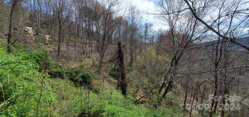 Property image 3 of 9999 Sunset Falls Drive in Sunset Falls at Bald Creek, Clyde, NC 28716