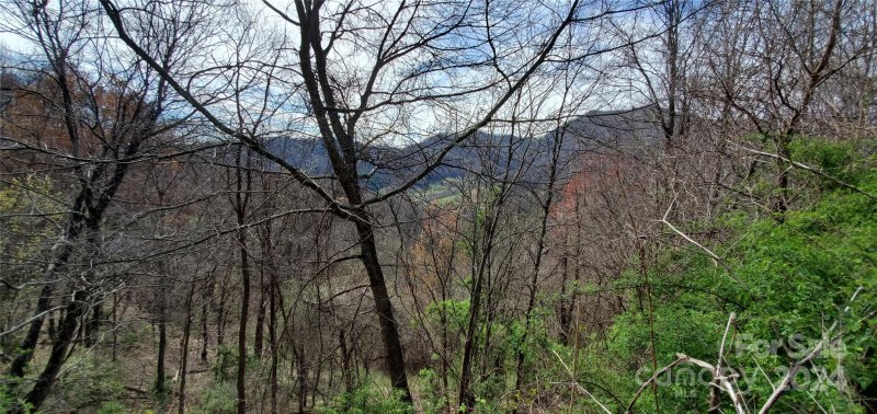 Property image 4 of 9999 Sunset Falls Drive in Sunset Falls at Bald Creek, Clyde, NC 28716