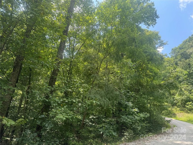 Property image 2 of 177 Peartree Drive in Riverbend Highlands, Lake Lure, NC 28746