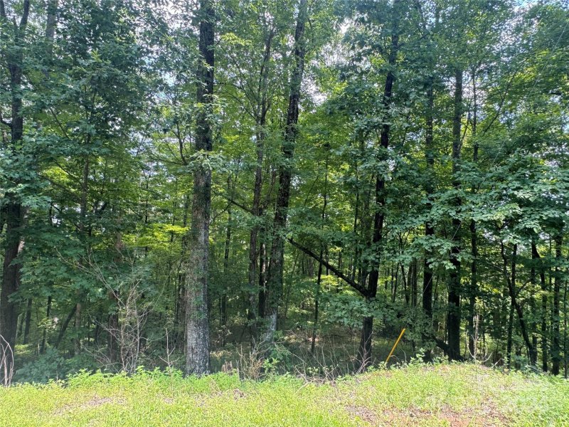 Property image 4 of 177 Peartree Drive in Riverbend Highlands, Lake Lure, NC 28746