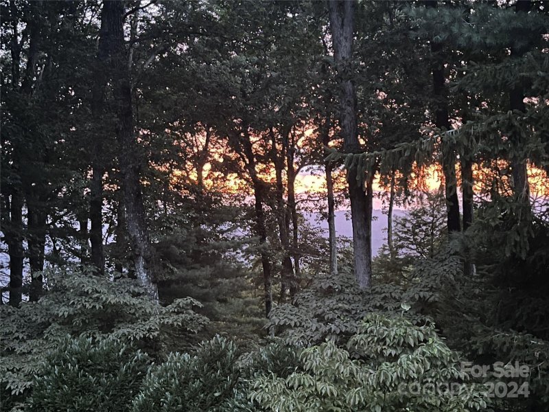 Property image 3 at 111 Poplar Loop Drive, Flat Rock, NC 28731