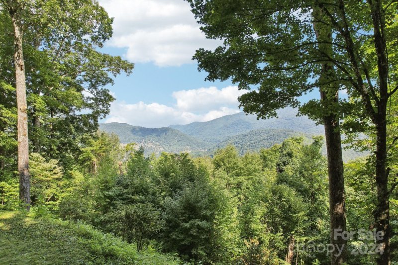 Property image 4 at 1685 Setzer Cove Road, Maggie Valley, NC 28751