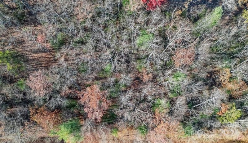 Property image 2 at 0000 Holiday Drive, Hendersonville, NC 28739