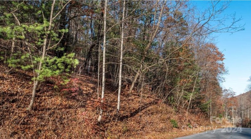 Property image 3 at 0000 Holiday Drive, Hendersonville, NC 28739