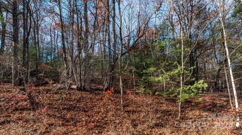 Property image 4 at 0000 Holiday Drive, Hendersonville, NC 28739