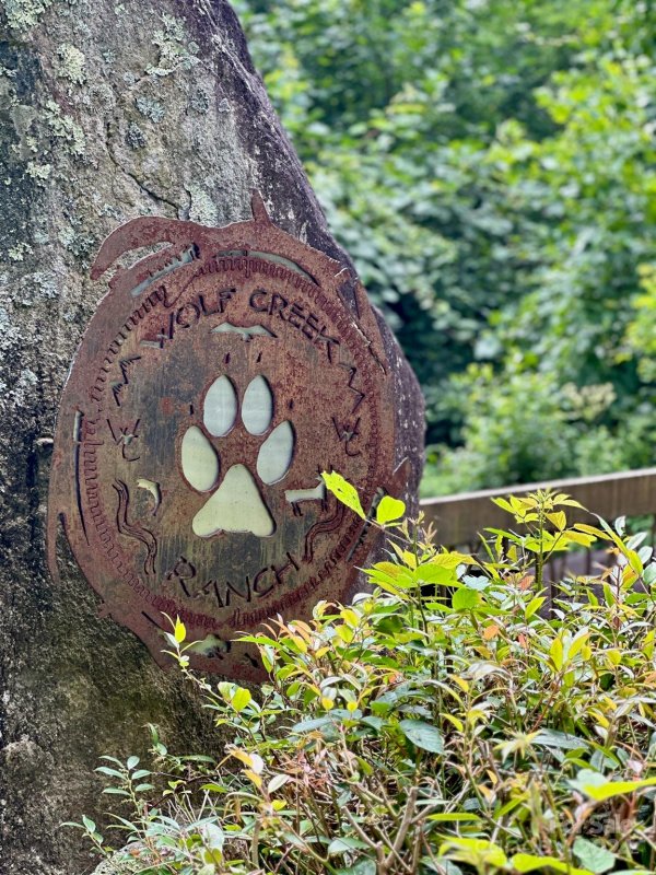 Property image 4 of 35 Flying Hawk Way in Wolf Creek Ranch, Clyde, NC 28721