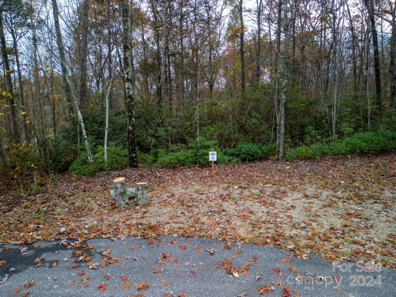 Property image 5 of 63 Cherry Cove Lane in Cherry Cove, Old Fort, NC 28762