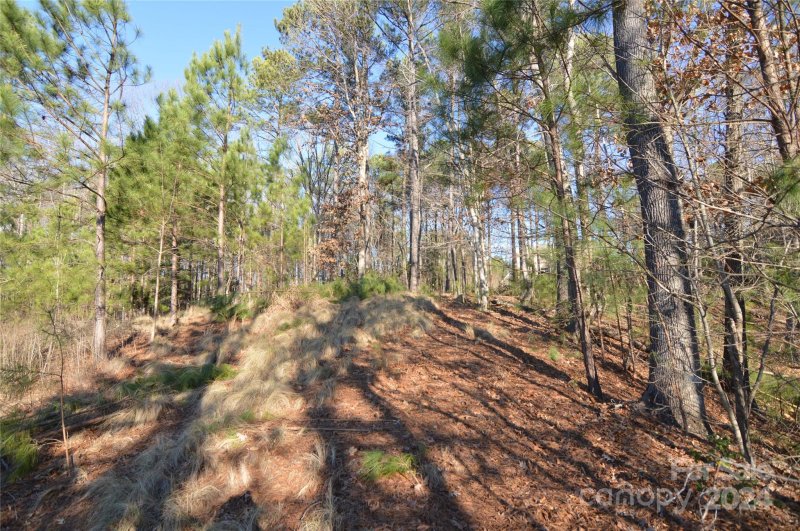 Property image 4 at 4213 Arbors Ford Court, Belmont, NC 28012