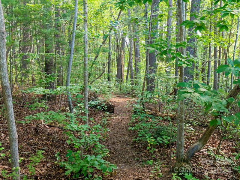 Property image 3 at 99999 Hickory Creek Court, Arden, NC 28704