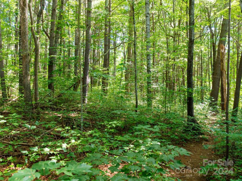 Property image 4 at 99999 Hickory Creek Court, Arden, NC 28704