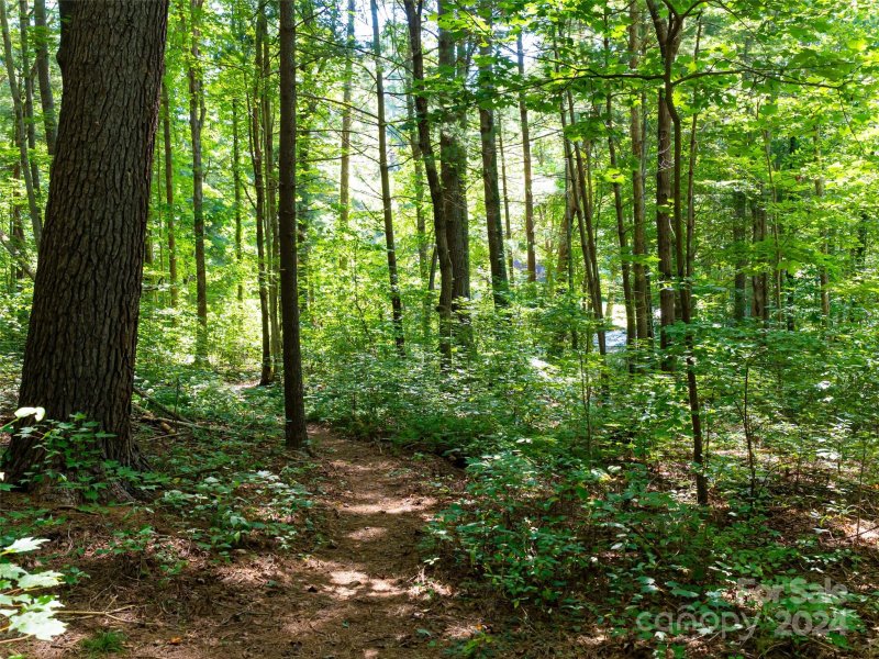 Property image 5 at 99999 Hickory Creek Court, Arden, NC 28704