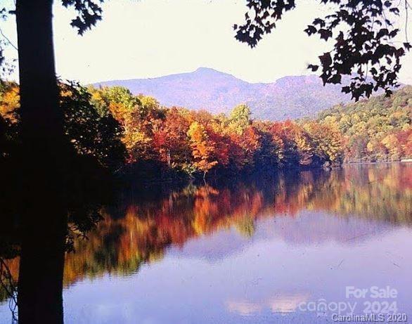 Property image 2 at Tbd Biggerstaff Loop, Nebo, NC 28761
