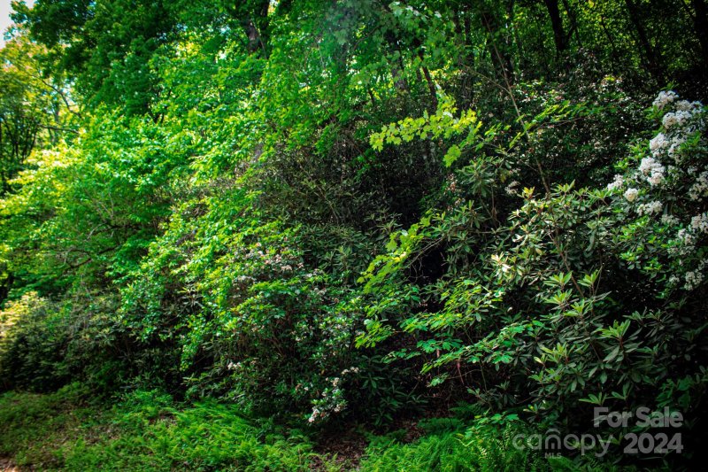 Property image 2 of Tbd Fox Den Road in Oak Laurel, Brevard, NC 28712
