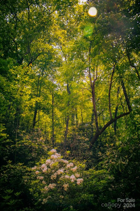 Property image 4 of Tbd Fox Den Road in Oak Laurel, Brevard, NC 28712