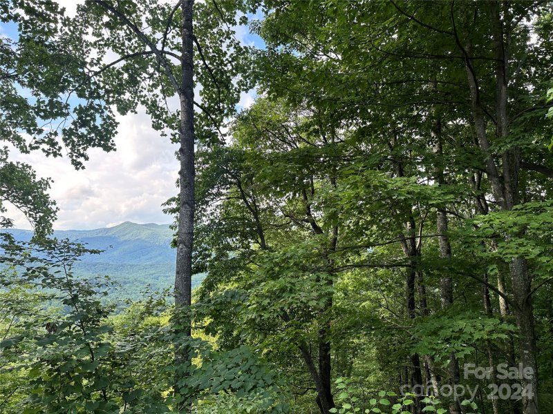 Property image 2 at 00000 Medford Drive, Fairview, NC 28730