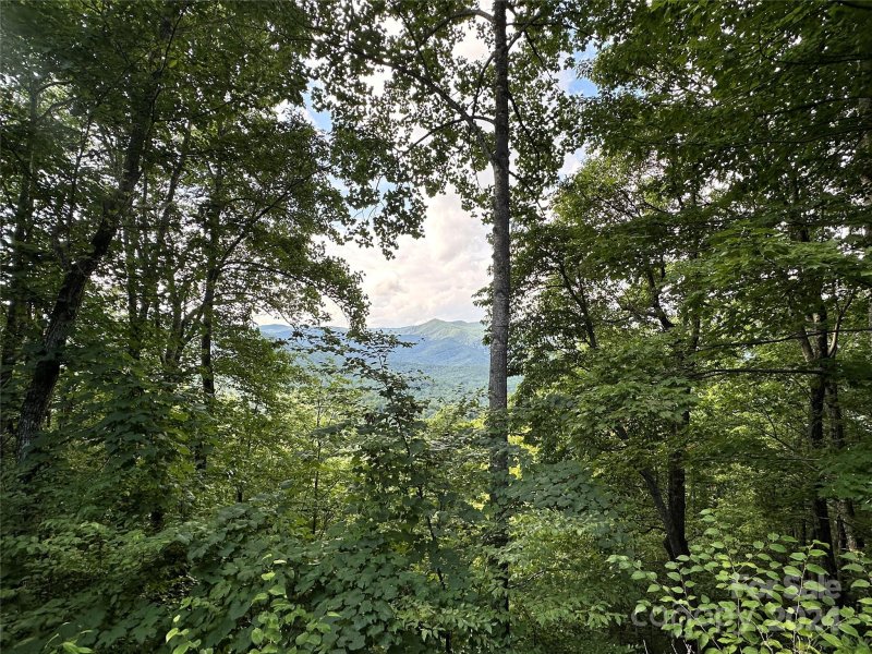 Property image 3 at 00000 Medford Drive, Fairview, NC 28730