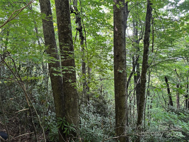 Property image 4 at 00000 Medford Drive, Fairview, NC 28730