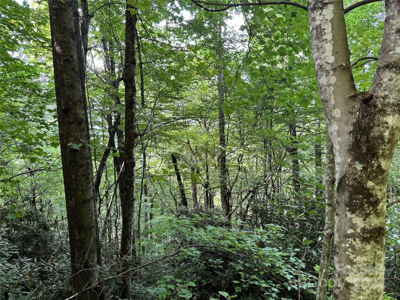 Property image 5 at 00000 Medford Drive, Fairview, NC 28730