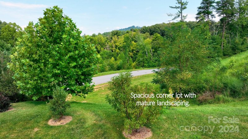 Property image 4 at 237 Water Leaf Drive, Weaverville, NC 28787