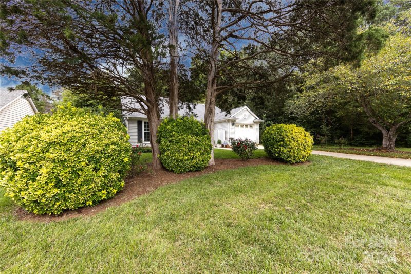 Property image 3 at 13807 Dannemara Drive, Pineville, NC 28134