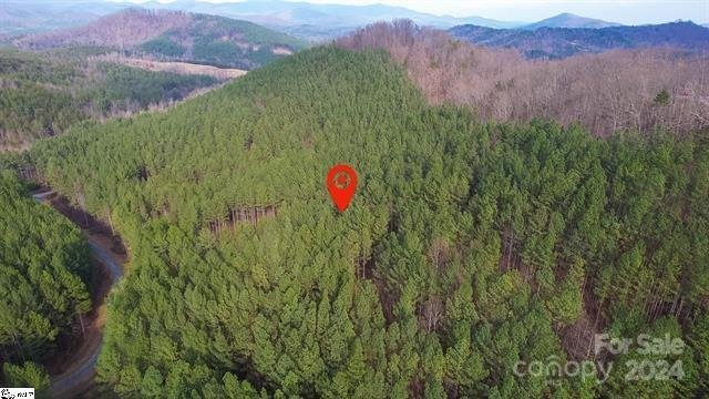 Property image 2 at 0 Pine Needle Lane, Bostic, NC 28018